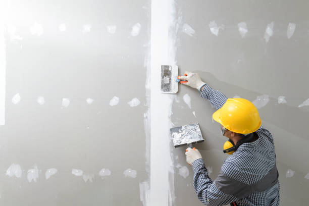 Best Forensic Mold Investigation  in Chevy Chase, MD
