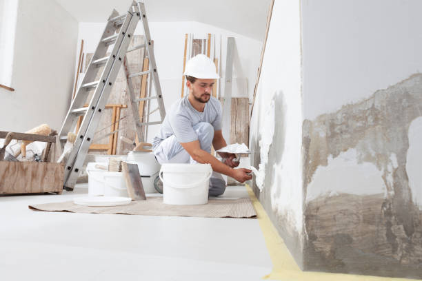 Best Basement Mold Removal  in Chevy Chase, MD