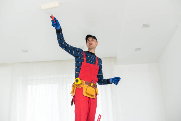 Best Environmental Consulting for Mold Prevention  in Chevy Chase, MD