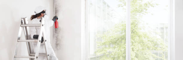 Best Indoor Air Quality Assessment  in Chevy Chase, MD