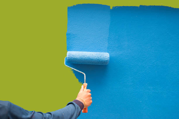 Best Emergency Mold Remediation  in Chevy Chase, MD
