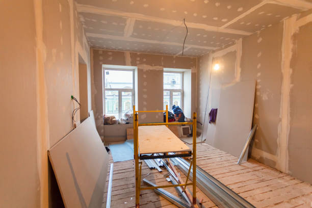 Biohazard Mold Removal in Chevy Chase, MD